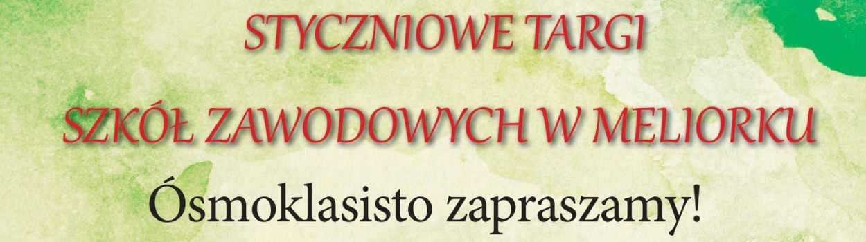 XXII Styczniowe Targi Szkół Zawodowych w Meliorku